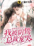 新婚夜进错房门,我被阴鸷总裁宠哭